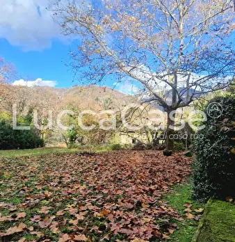 Foto annuncio 28