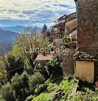 Foto annuncio 35