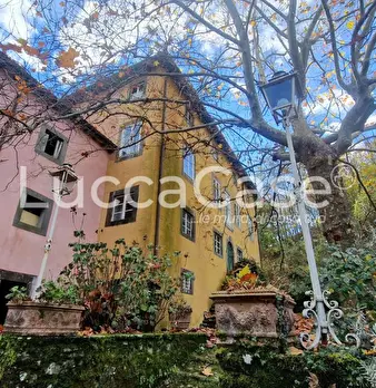 Foto annuncio 31
