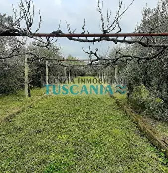 Foto annuncio 7