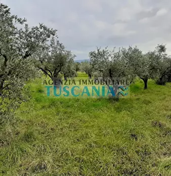 Foto annuncio 4
