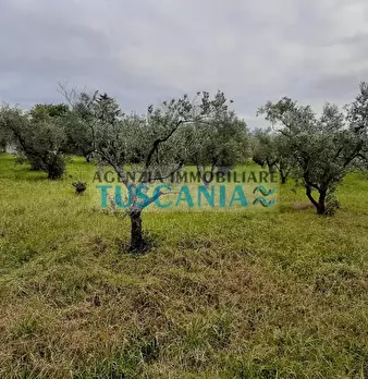 Foto annuncio 11