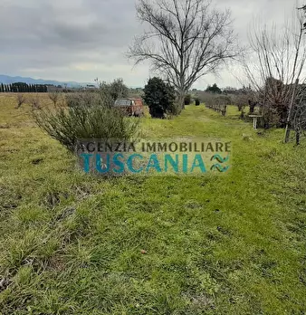 Foto annuncio 9