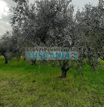 Foto annuncio 10
