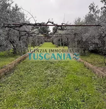 Foto annuncio 2