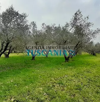 Foto annuncio 1