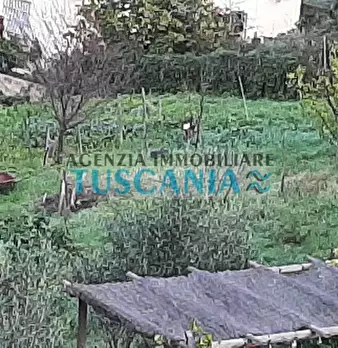 Foto annuncio 12