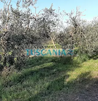 Foto annuncio 1