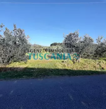 Foto annuncio 4