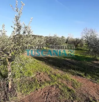 Foto annuncio 6