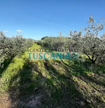 Foto annuncio 3