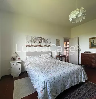 Foto annuncio 31