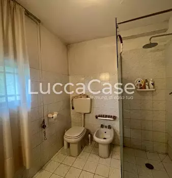 Foto annuncio 52