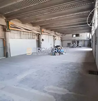 Foto annuncio 6
