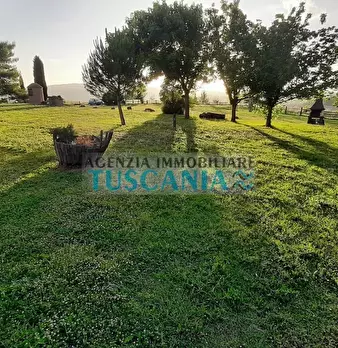 Foto annuncio 12