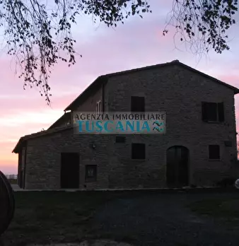 Foto annuncio 65