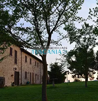 Foto annuncio 50