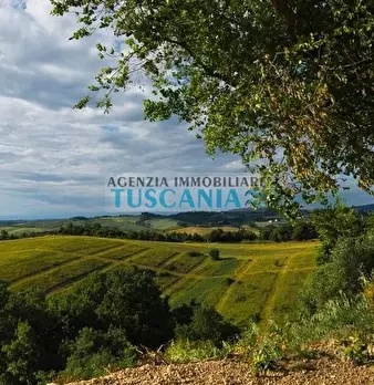 Foto annuncio 16