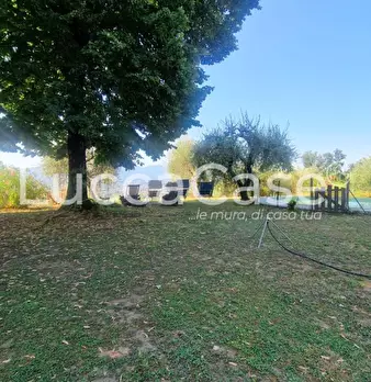 Foto annuncio 38