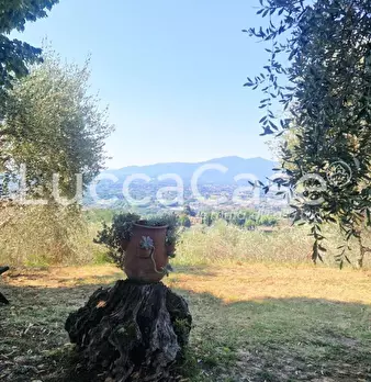 Foto annuncio 40