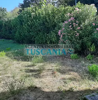 Foto annuncio 7