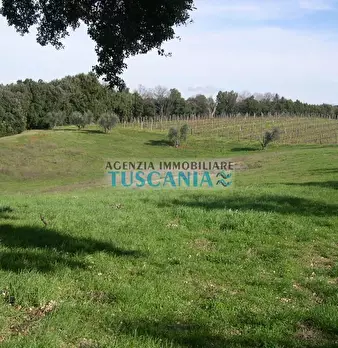Foto annuncio 16