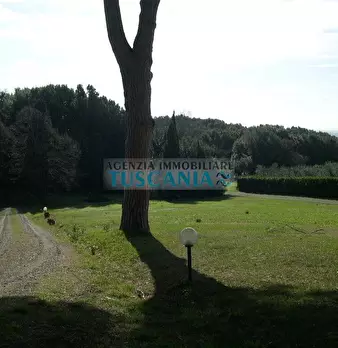 Foto annuncio 24