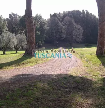 Foto annuncio 25