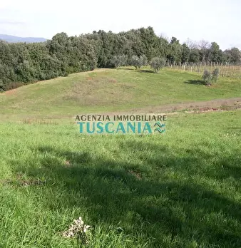 Foto annuncio 18
