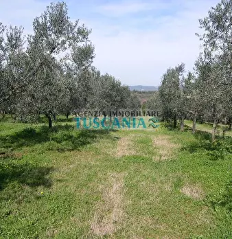 Foto annuncio 12