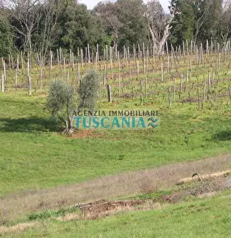 Foto annuncio 17