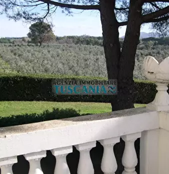 Foto annuncio 41