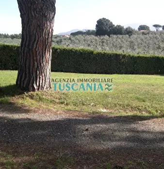 Foto annuncio 27