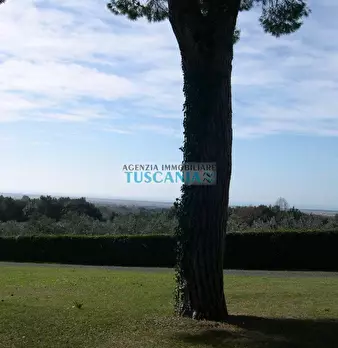 Foto annuncio 29