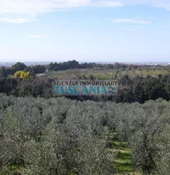 Foto annuncio 37