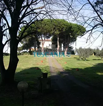 Foto annuncio 24