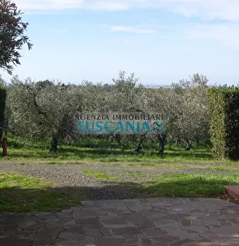 Foto annuncio 4