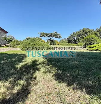 Foto annuncio 38