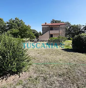 Foto annuncio 30