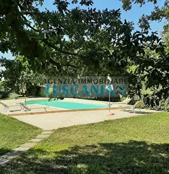 Foto annuncio 43