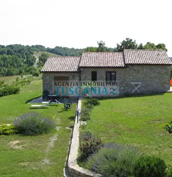 Foto annuncio 9