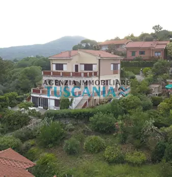 Foto annuncio 7