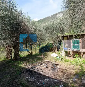 Foto annuncio 18