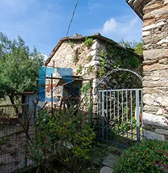 Foto annuncio 15