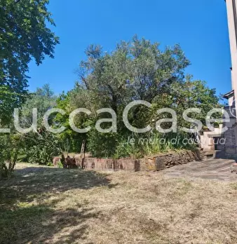 Foto annuncio 76