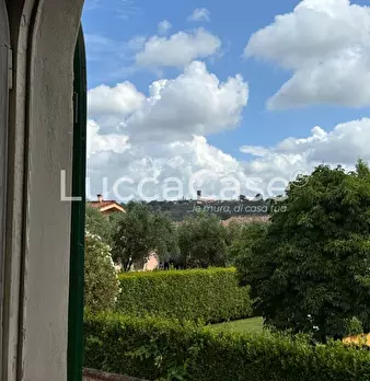 Foto annuncio 31