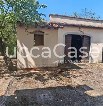 Foto annuncio 70