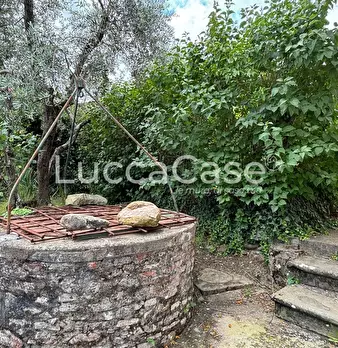 Foto annuncio 44