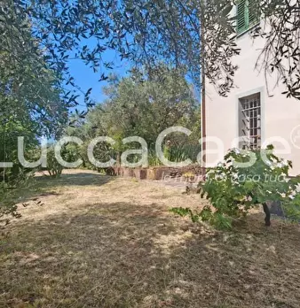 Foto annuncio 77