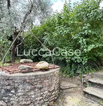 Foto annuncio 71